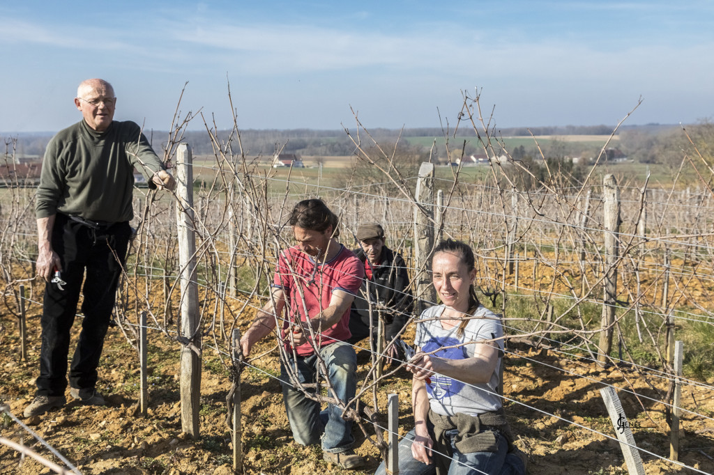 Domaine Labet - Williams Corner