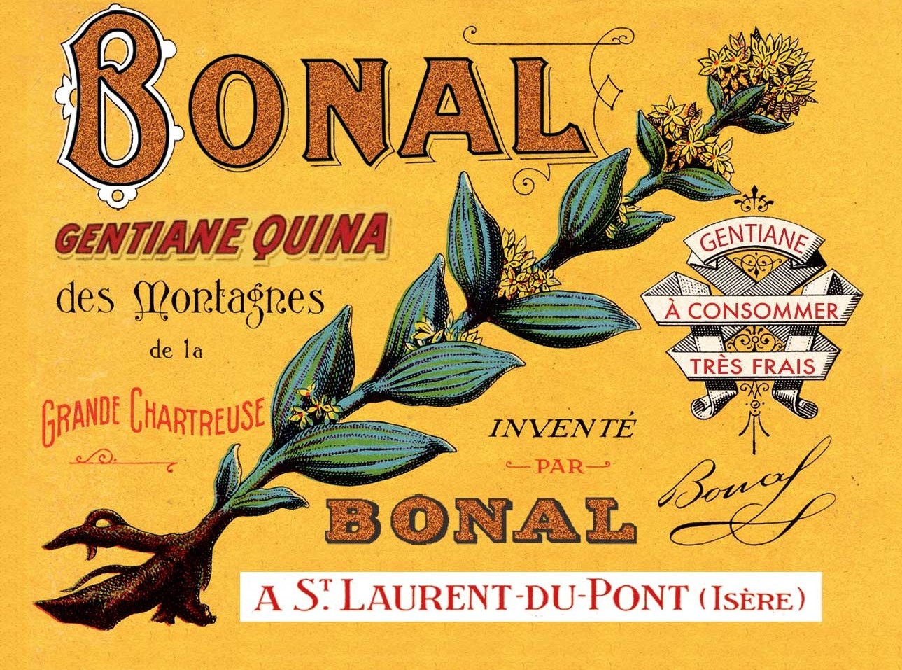 Bonal GentianeQuina Williams Corner